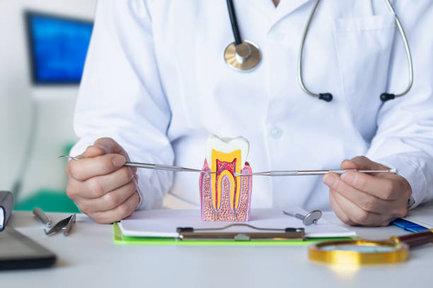 Best Broken Tooth Emergency  in Camden, AL